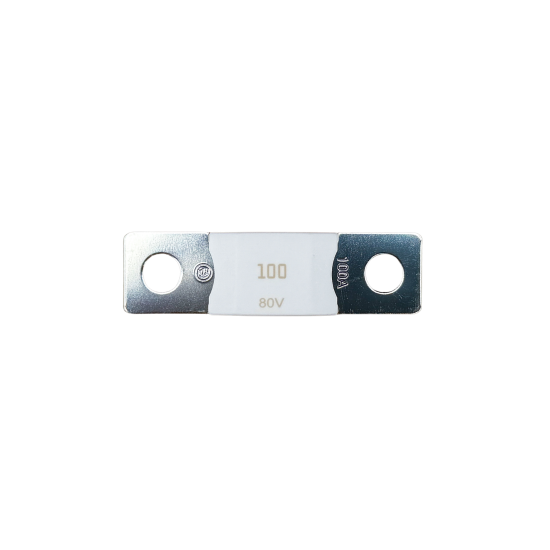100A Mega Fuse