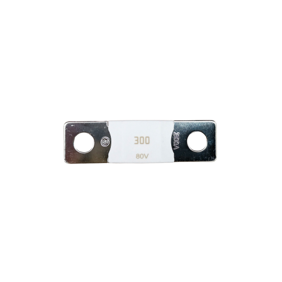 300A Mega Fuse