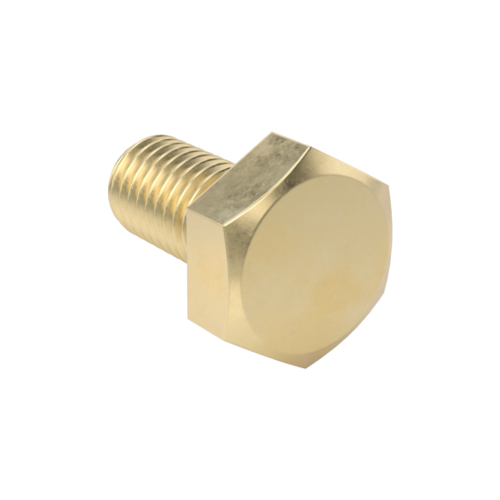 Brass Hex Head Screw
