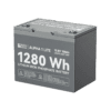Rich Solar Alpha 1 LITE 100Ah Battery